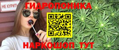 гидропоника Ирбит