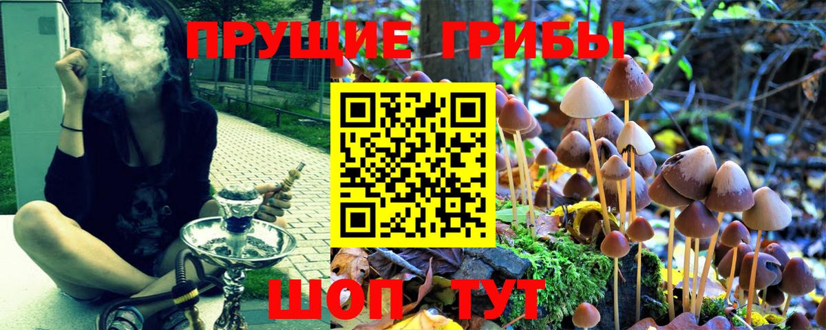 Псилоцибиновые грибы прущие грибы  Вход с VPN  цены наркотик  Магадан 